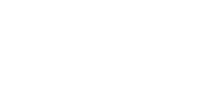 FLY HIGH STAFFING LOGO